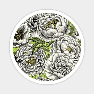 Peony flowers 3 Magnet